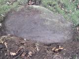 image of grave number 197987